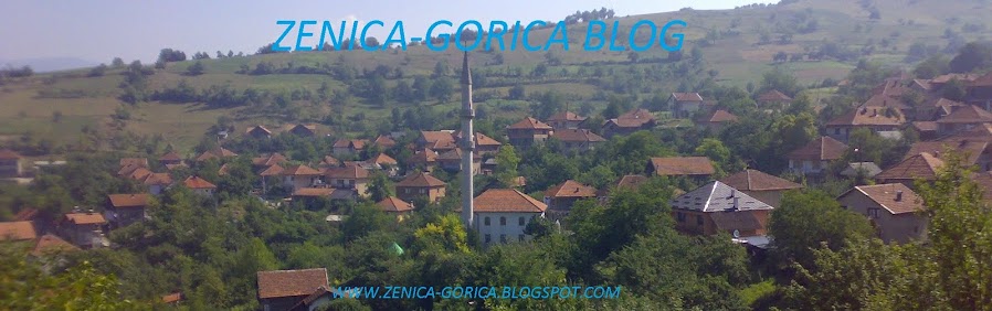 Zenica Gorica na internetu 