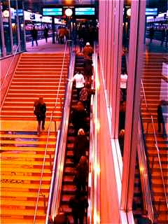 Bodos Welt Dezember 2009