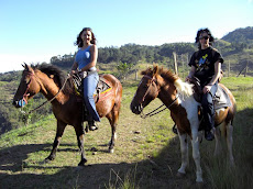 Almuerzo, Paseo a Caballo, Música Llanera a la noche