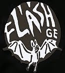 G.E. FLASH