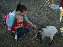 At the pumpkin patch