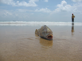 sea beach