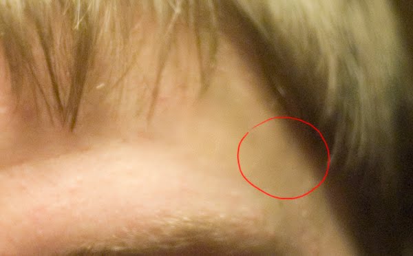 [retouching+tool_8.jpg]