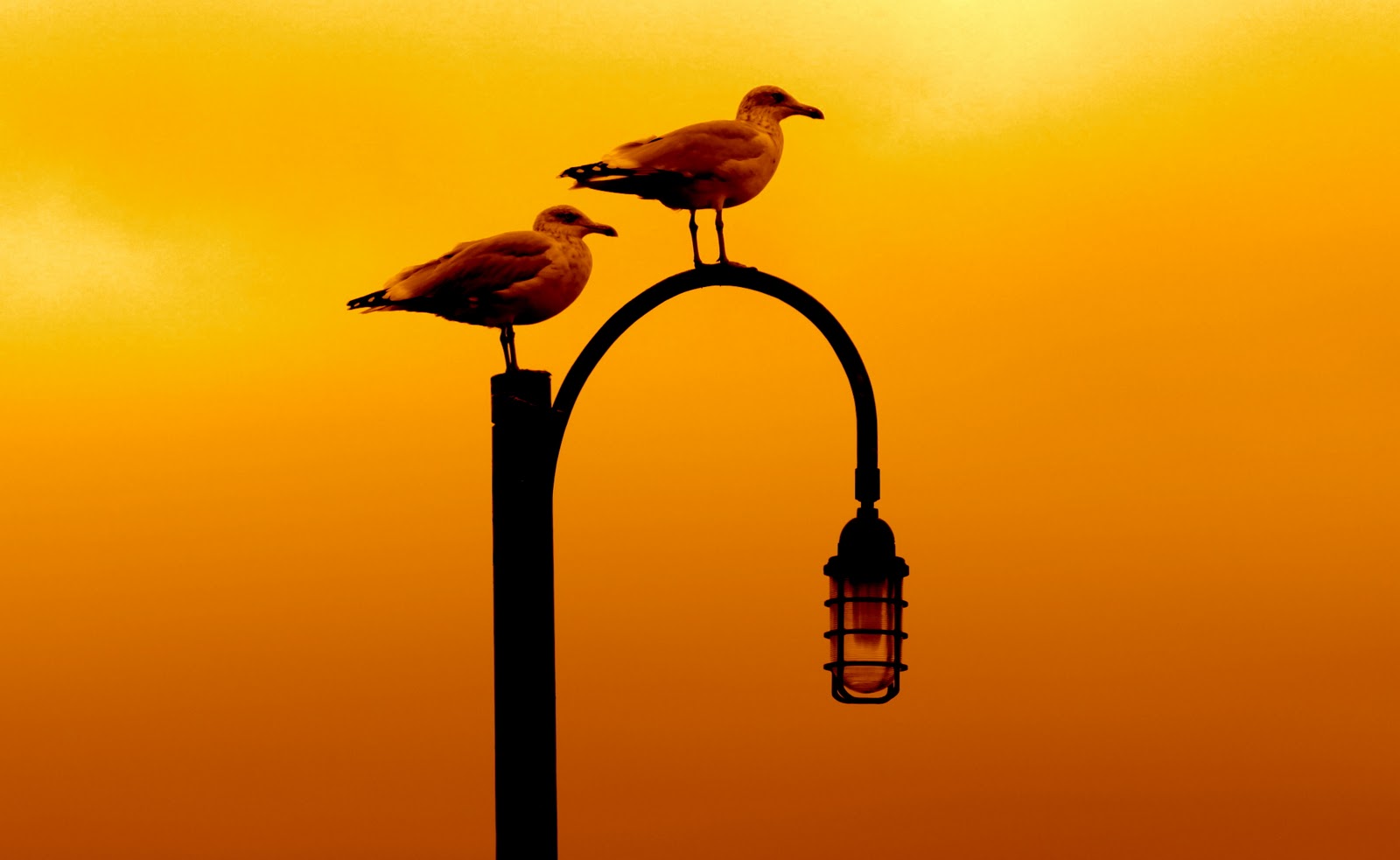 tour day sponsors are evan cami...