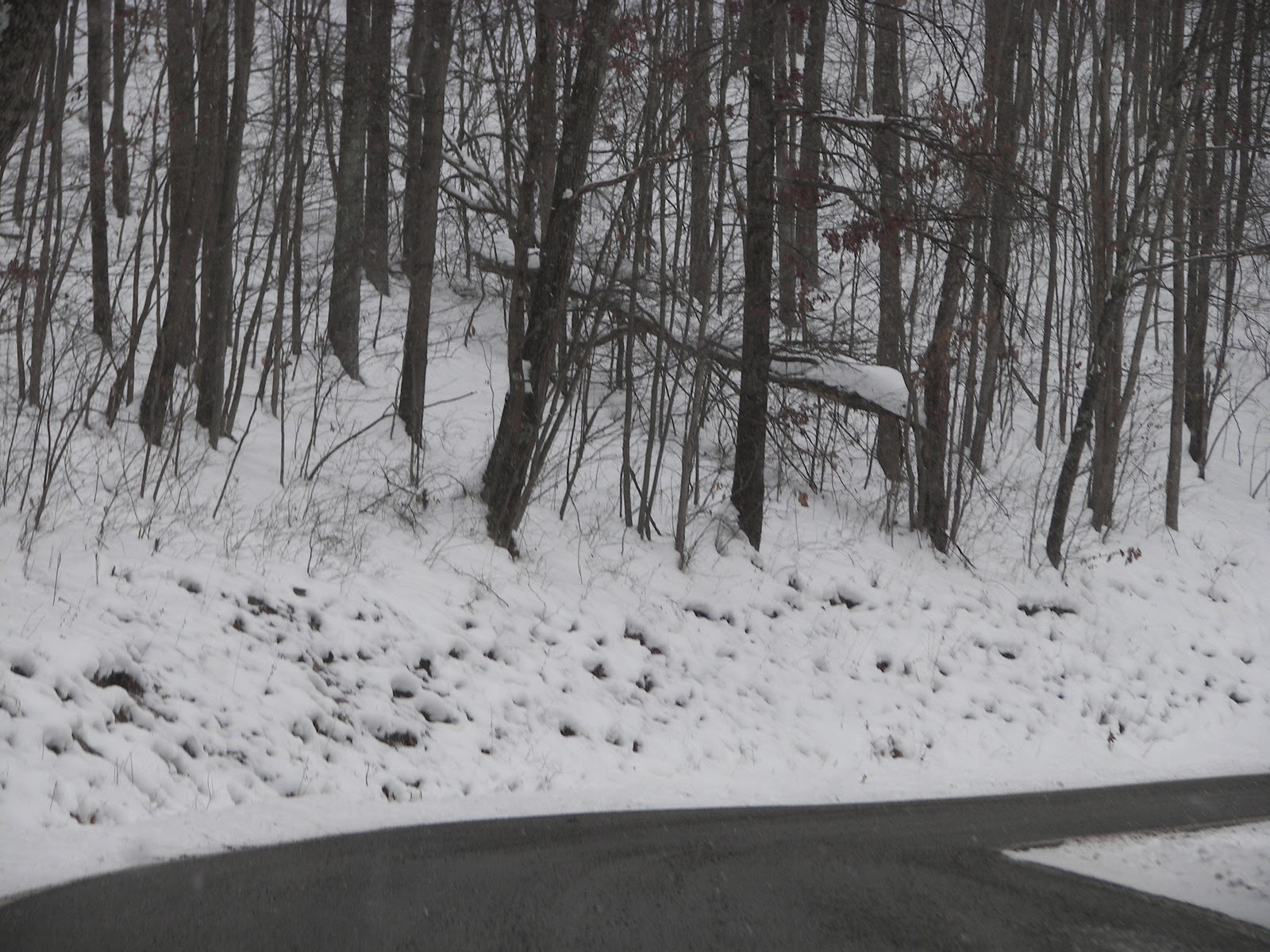 southwestern carribbean breezes Snow Scenes In West Virginia