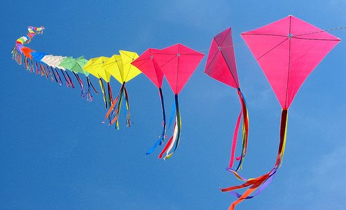 Pretty Kites