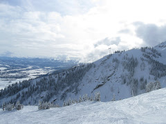 Teton Views