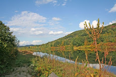 45-Acre Waterfront Property