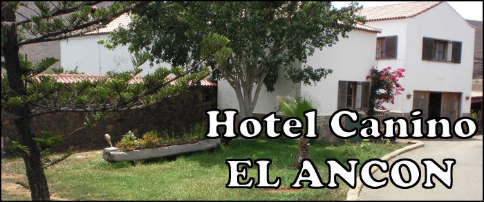 hotel canino EL ANCON