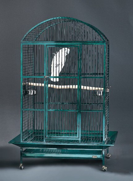 [1+parrot-cage.jpg]