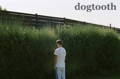 [dogtooth.jpg]