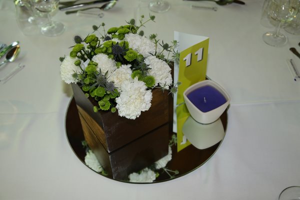 [IMG_0701.JPG]