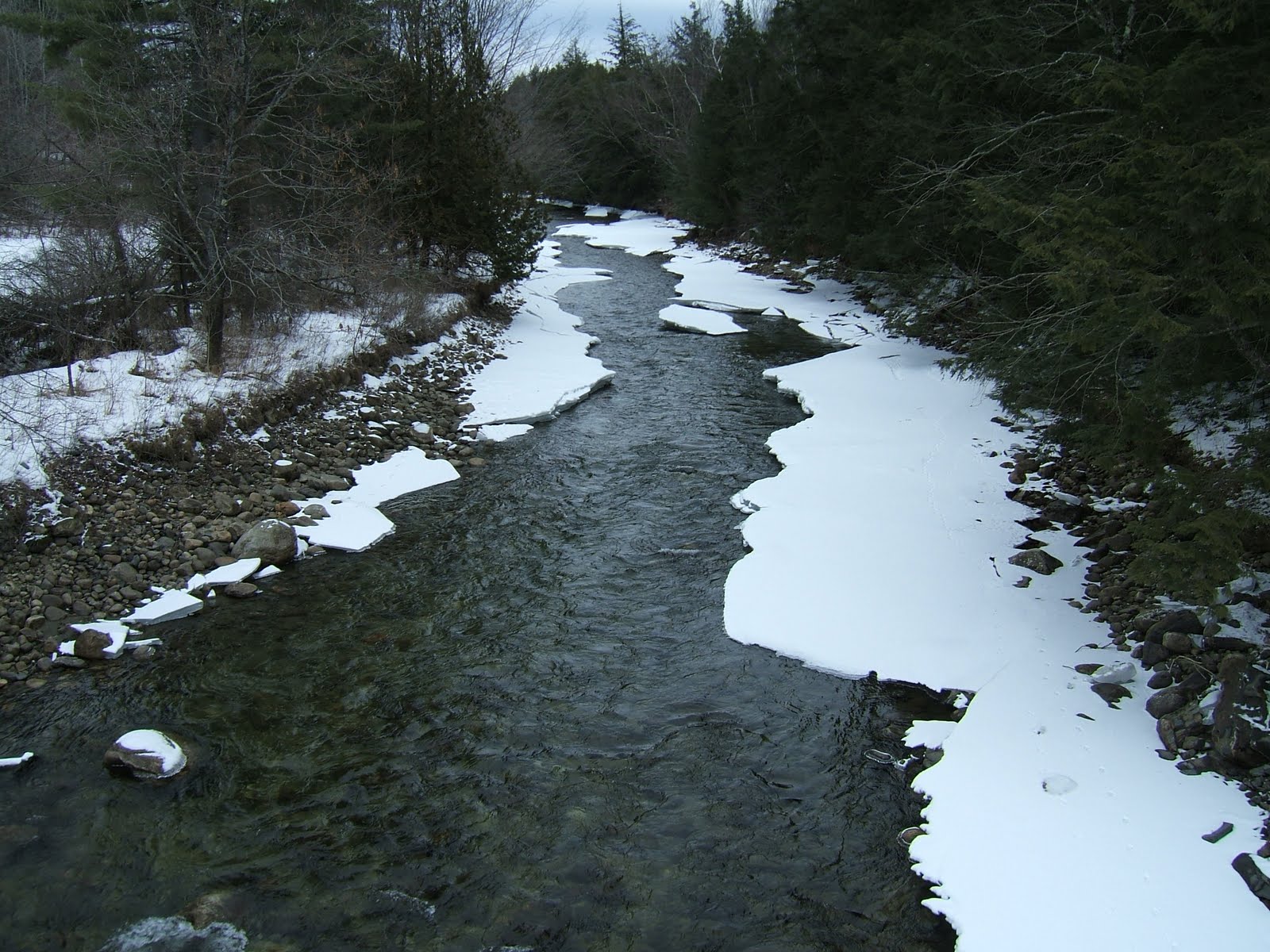 [DSCF0021.JPG]