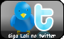 Twitter de lali budista