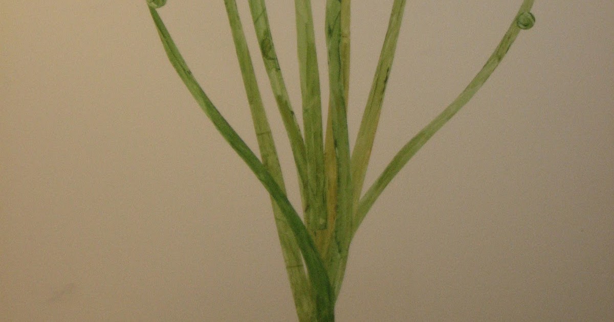 31 diy Wall Decal Made of Painted Contact Paper!