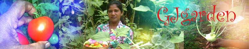 HOME GARDENING