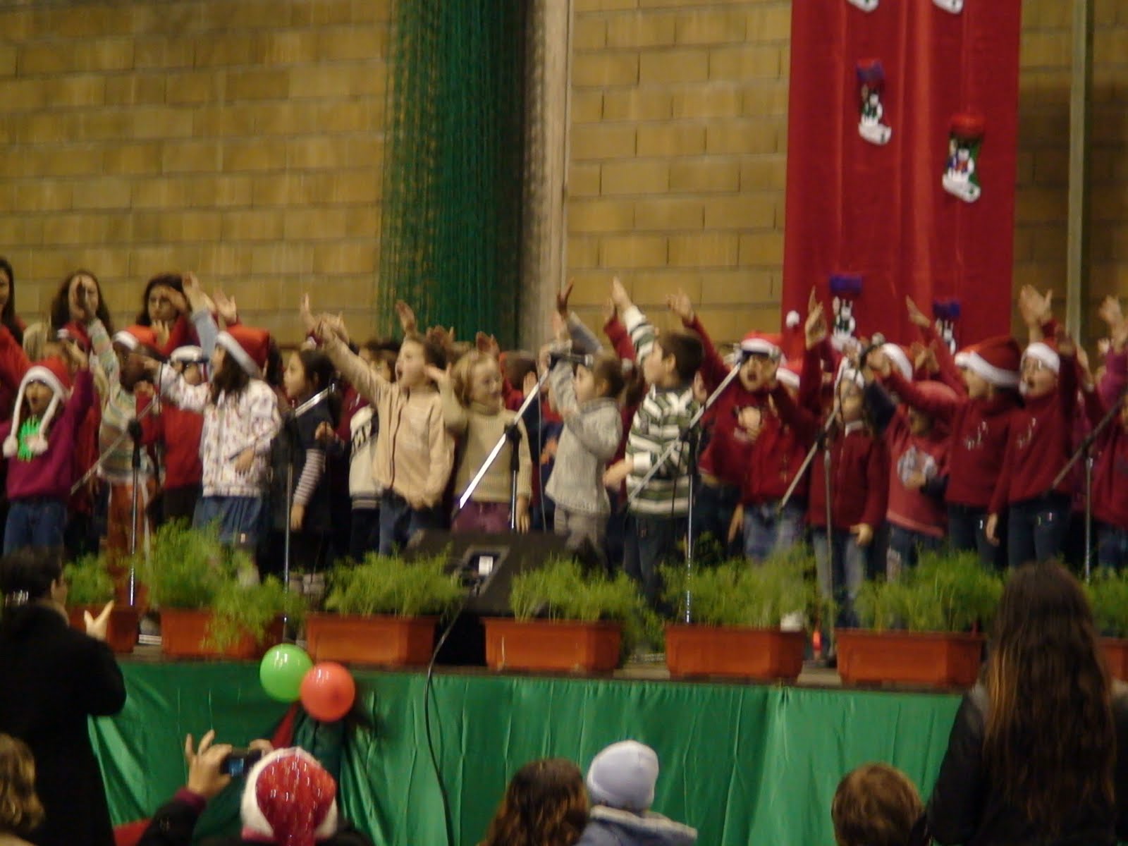 [DSC00043.JPG]