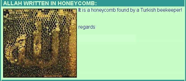 Miracles of ALLAH - honeycomb