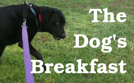 The Dog's Breakfast