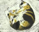 elizabeth blackadder