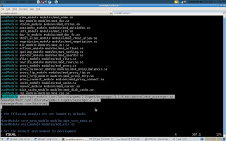 ServerName ror.blog.com