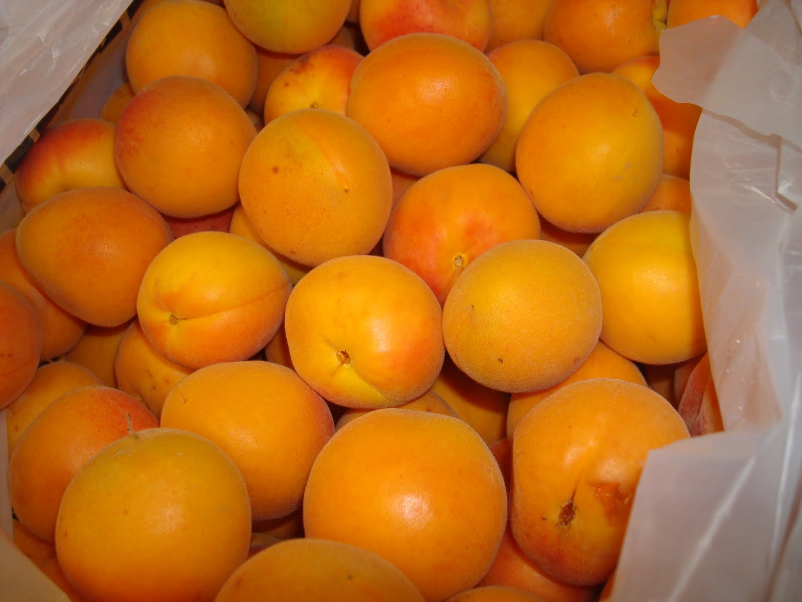 my family prepared Canning Apricot Nectar How To