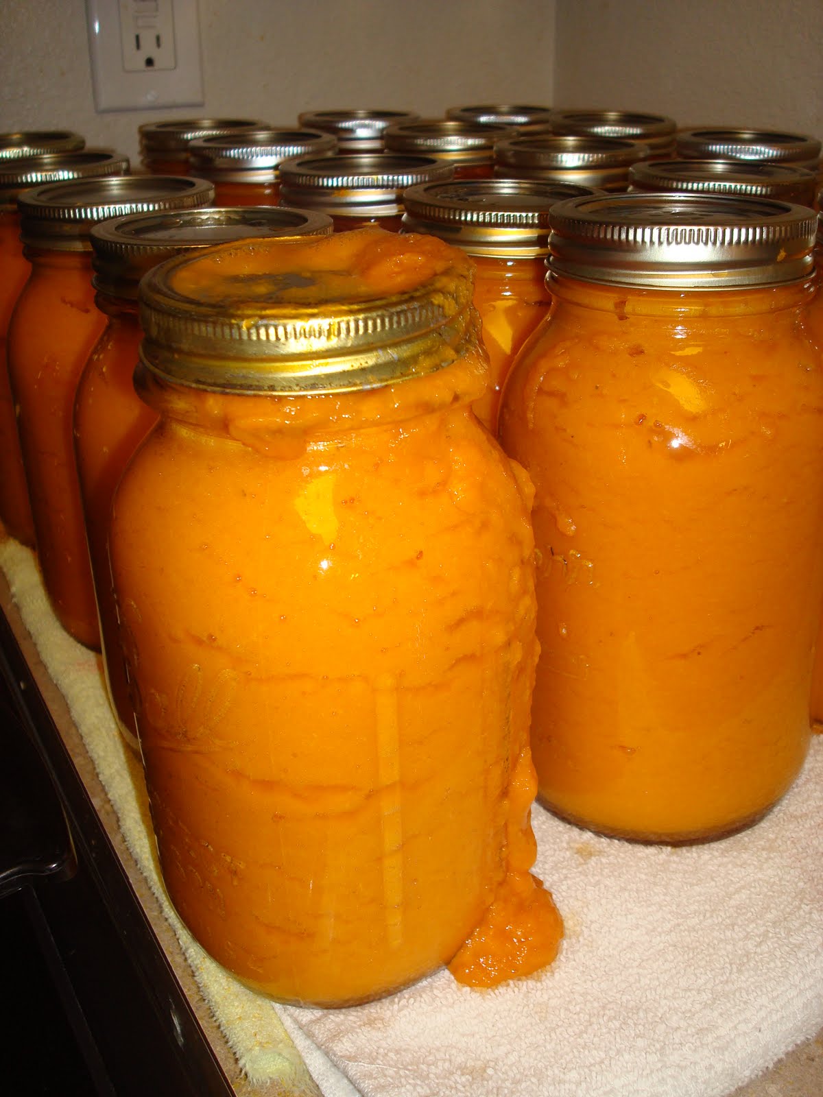 my family prepared Canning Apricot Nectar How To