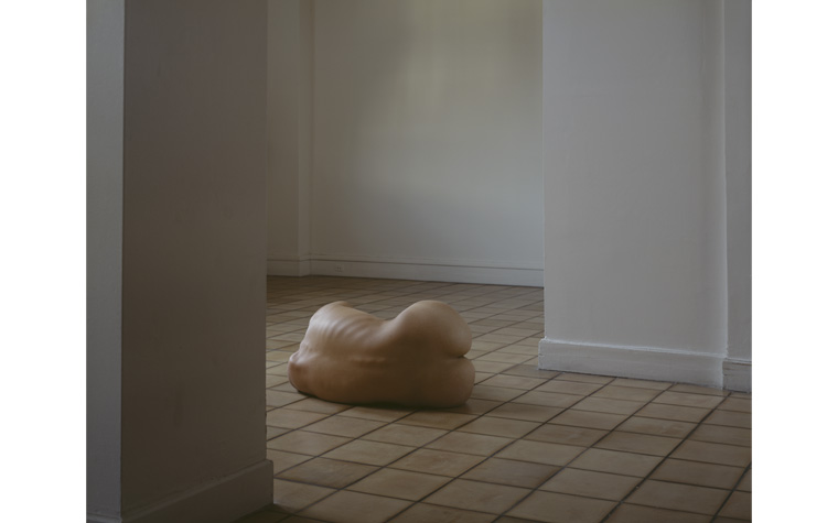 Bare figure captures