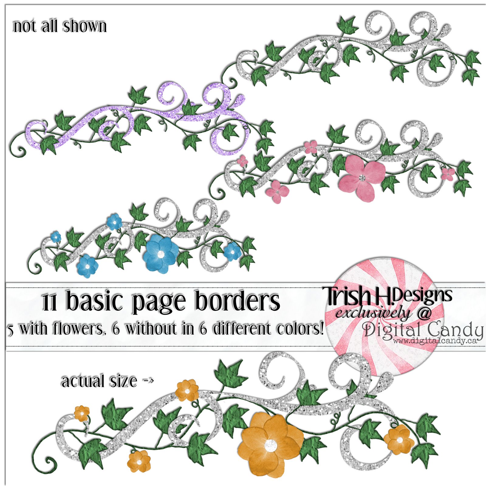 [thd_basicborder_preview.jpg]