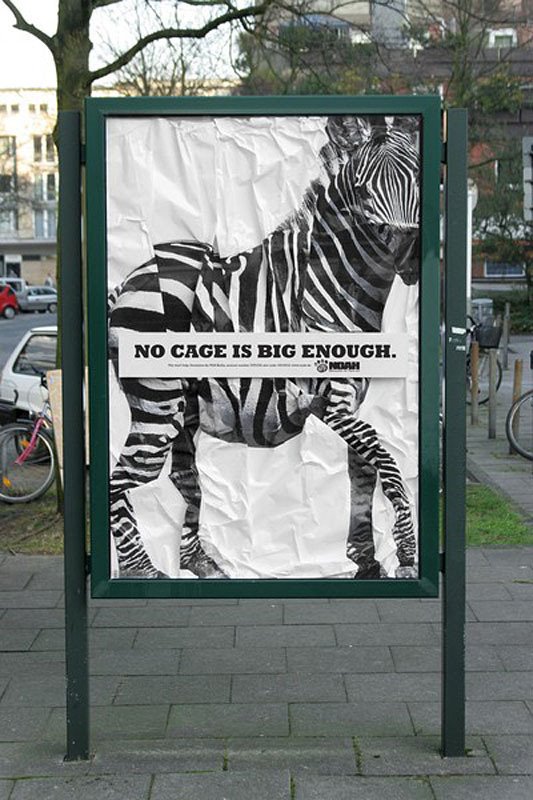 [zebra.jpg]