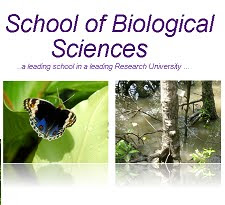 SCHOOL OF BIOLOGICAL SCIENCES