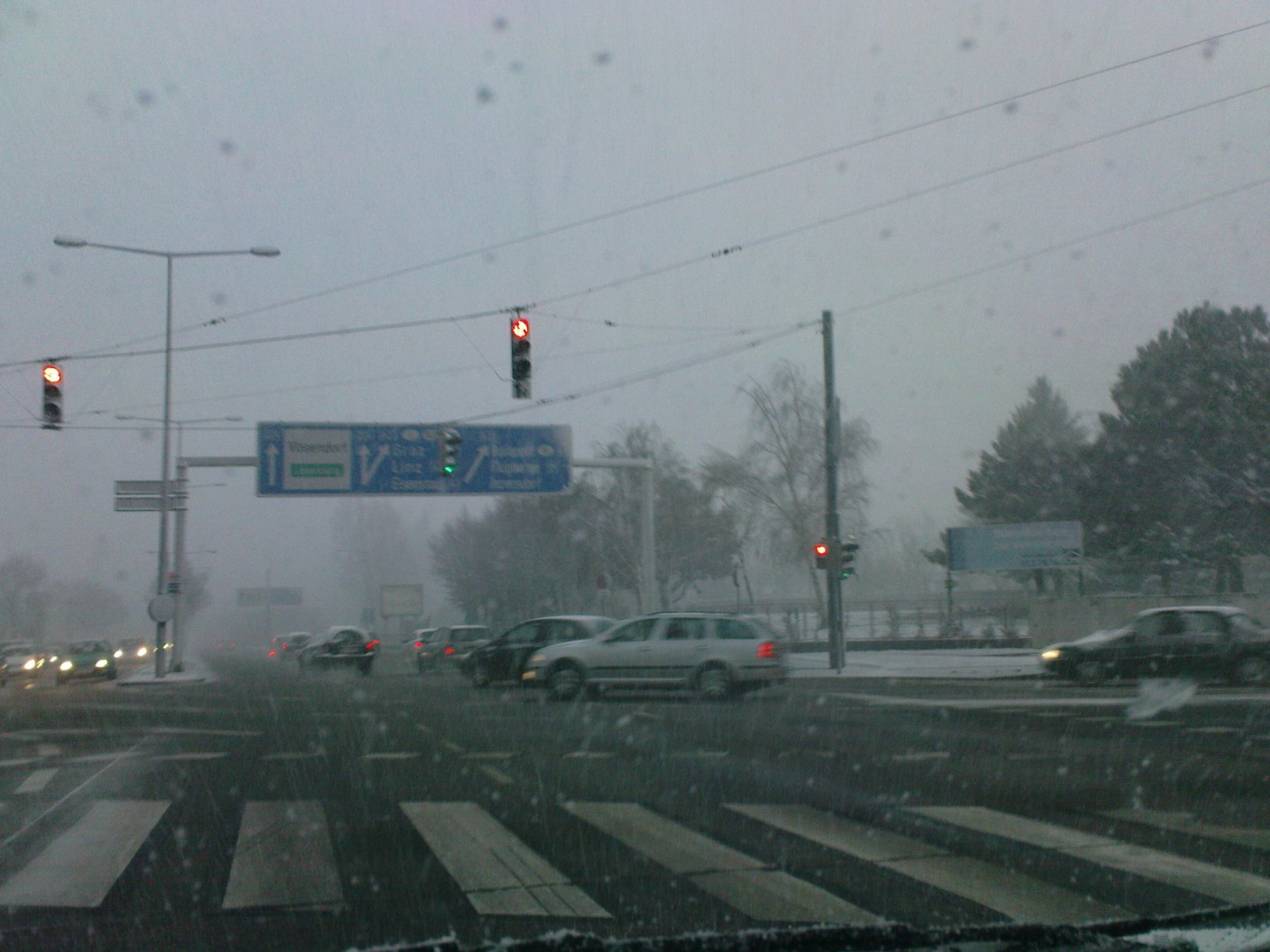 [DSC00600.JPG]