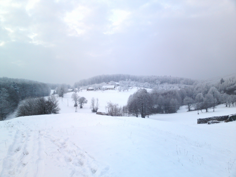 [image-upload-800-782192.jpg]