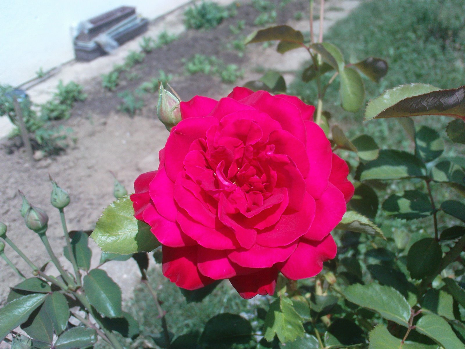 [DSC01047.JPG]