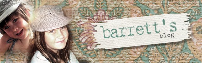 Barretts Blog