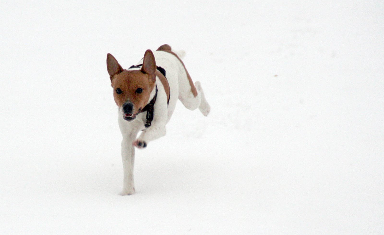 [2008+06+jan+035_edited-1.JPG]