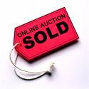 View LIVE Auction from Europe!