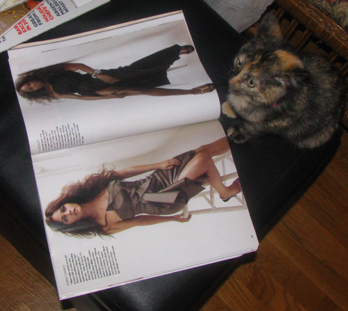 [kitty-magazine.jpg]