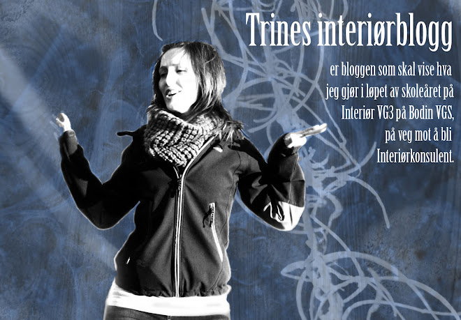 Trines Interiørblogg