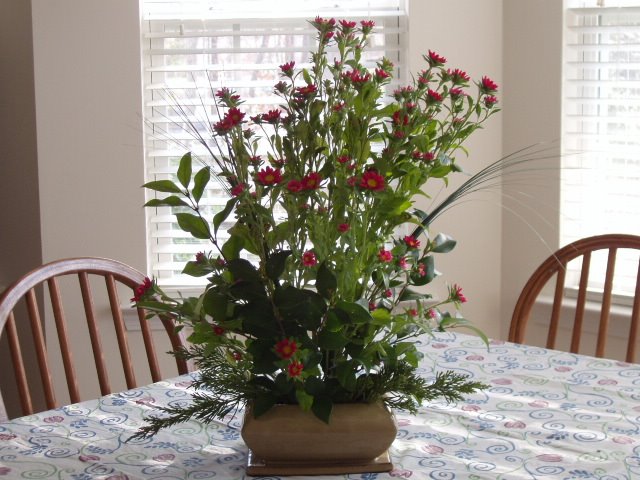 [flower1.JPG]
