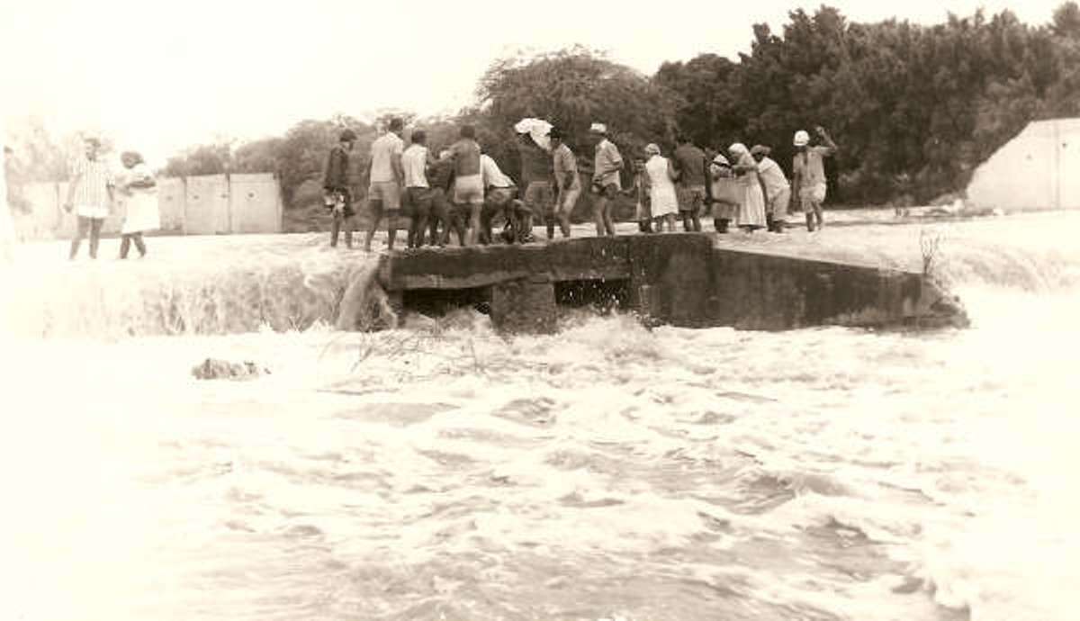 [Digitalizar002001.bmp]