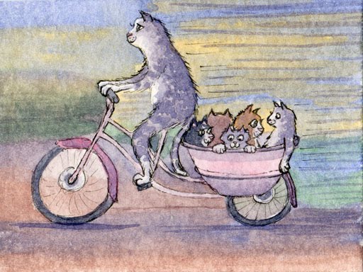 Cat Carriage