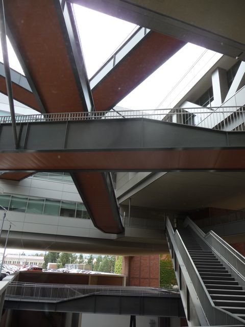 Cnsi Ucla