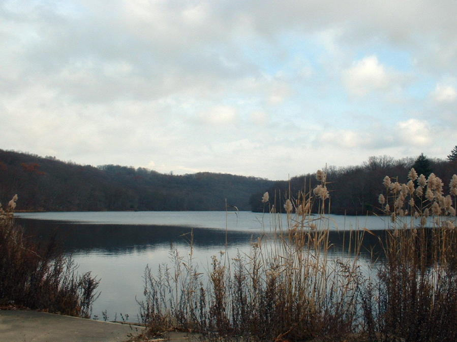 Frank's Place Rocky Glen Park, Moosic Pa.