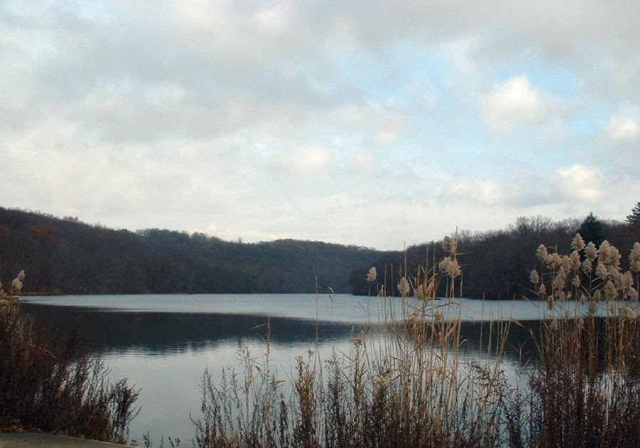 Frank's Place Rocky Glen Park, Moosic Pa.
