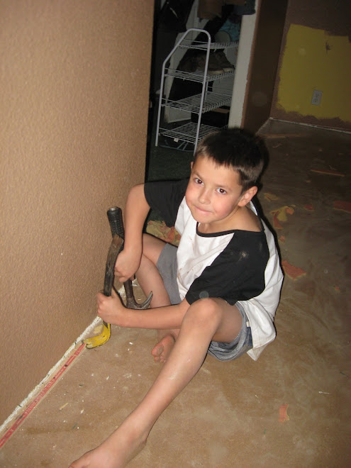 Dining room renovation