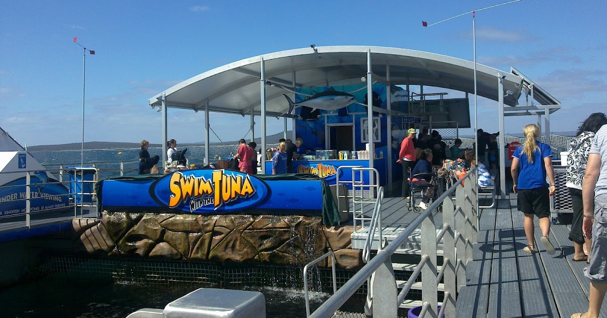 One Year to Give Tuna Feeding at Port Lincoln