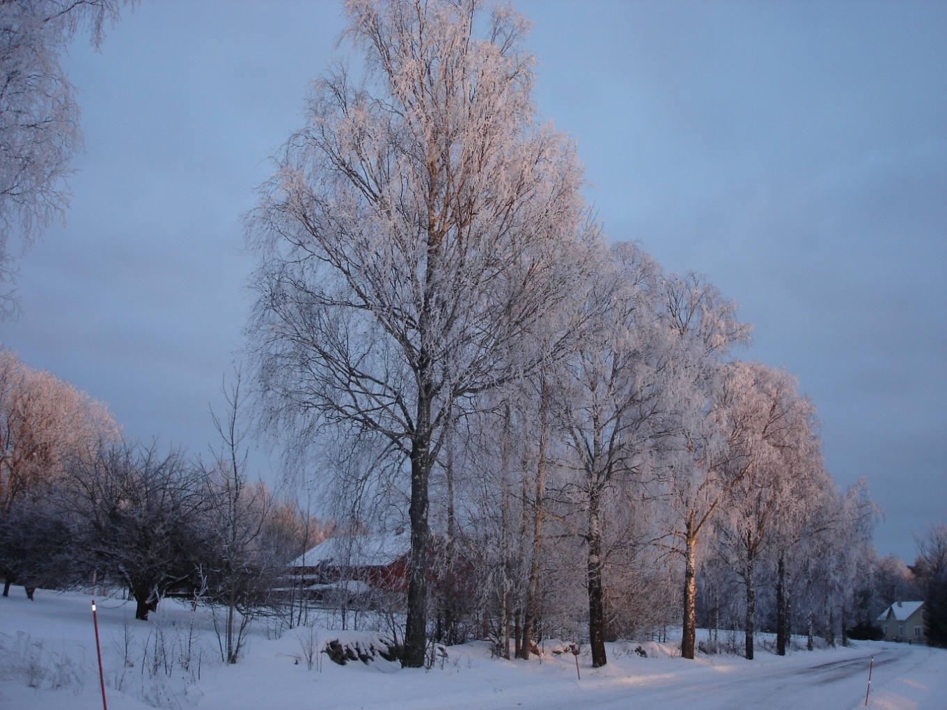 Toner: december 2010