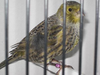 [IMG_0245+arg+etienne.JPG]