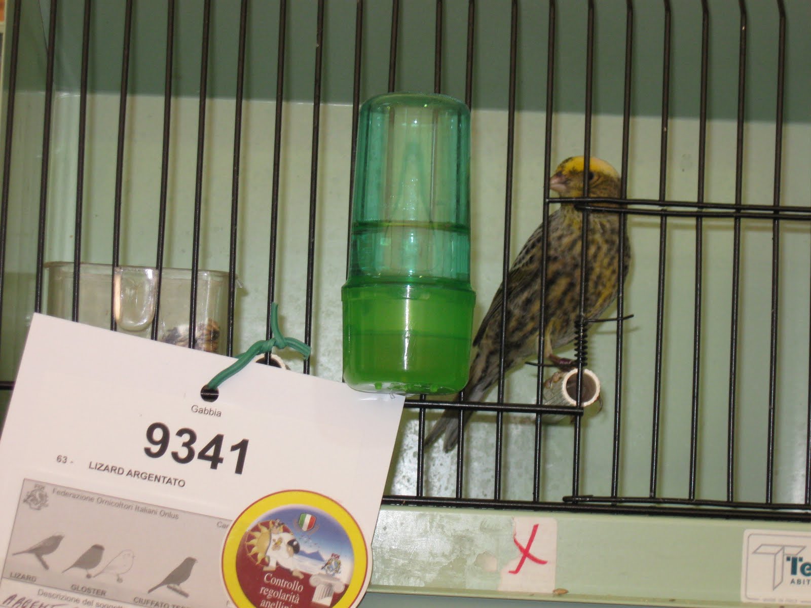 [II+argento+sing.jpg]